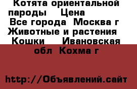 Котята ориентальной пароды  › Цена ­ 12 000 - Все города, Москва г. Животные и растения » Кошки   . Ивановская обл.,Кохма г.
